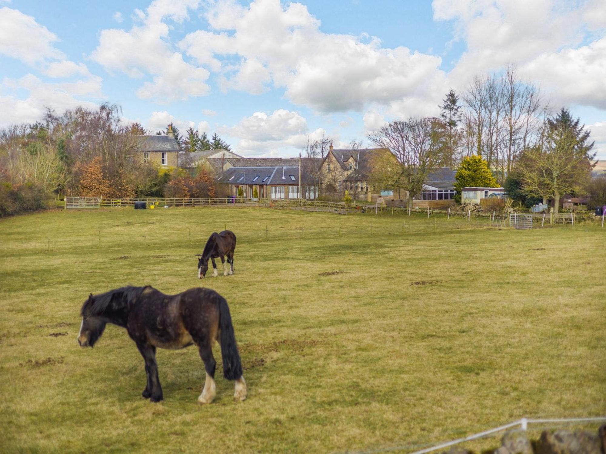 Appletree Cottage Kirkton of Tealing Kültér fotó